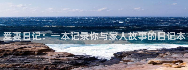 樱花动漫葬送的芙莉莲：爱妻日记：一本记录你与家人故事的日记本