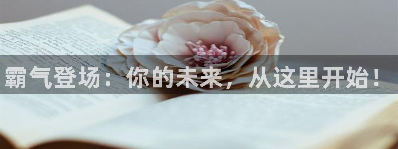 樱花动漫色系推荐：霸气登场：你的未来，从这里开始！